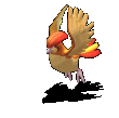 123029_6_0.gif