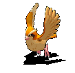 123028_6_0.gif