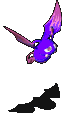 117716.gif
