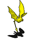 117723.gif
