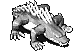 117774.gif