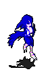 117793.gif