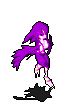 117794.gif